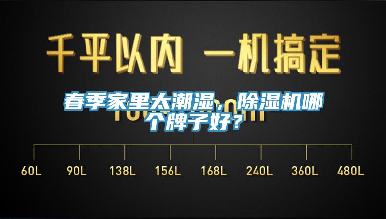 春季家裏太潮濕，PICACG哔咔官网入口哪個牌子好？