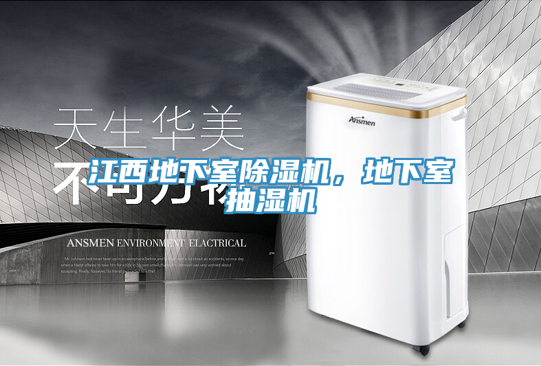 江西地下室PICACG哔咔官网入口，地下室抽濕機