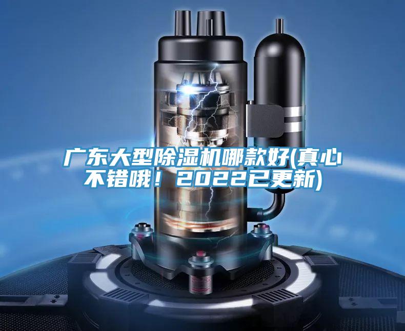 廣東大型PICACG哔咔官网入口哪款好(真心不錯哦！2022已更新)