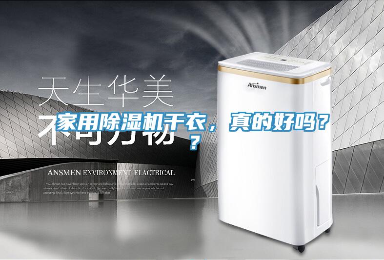 家用PICACG哔咔官网入口幹衣，真的好嗎？？