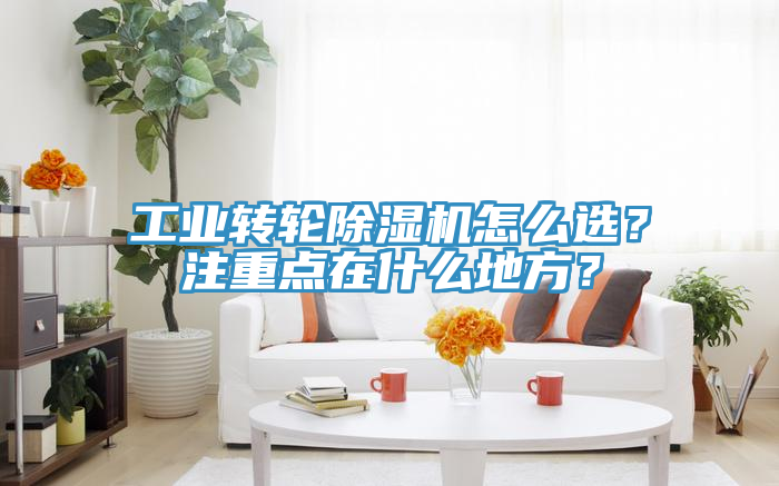 工業轉輪PICACG哔咔官网入口怎麽選？注重點在什麽地方？