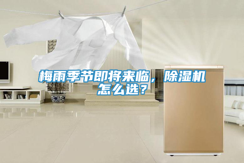 梅雨季節即將來臨，PICACG哔咔官网入口怎麽選？