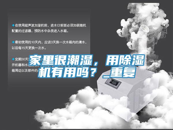 家裏很潮濕，用PICACG哔咔官网入口有用嗎？_重複