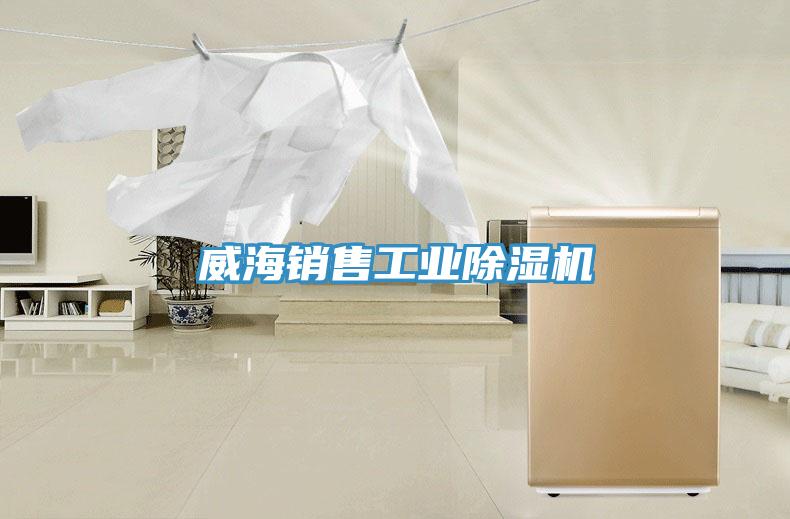 威海銷售工業PICACG哔咔官网入口