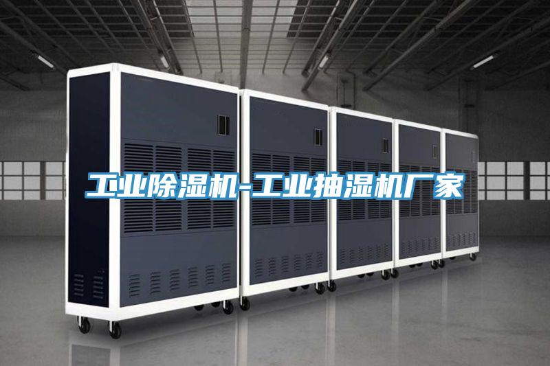 工業PICACG哔咔官网入口-工業抽濕機廠家