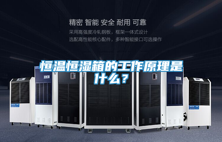恒溫恒濕箱的工作原理是什麽？