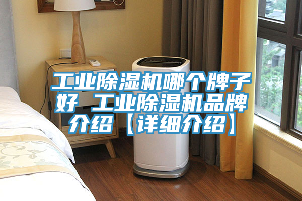 工業PICACG哔咔官网入口哪個牌子好 工業PICACG哔咔官网入口品牌介紹【詳細介紹】