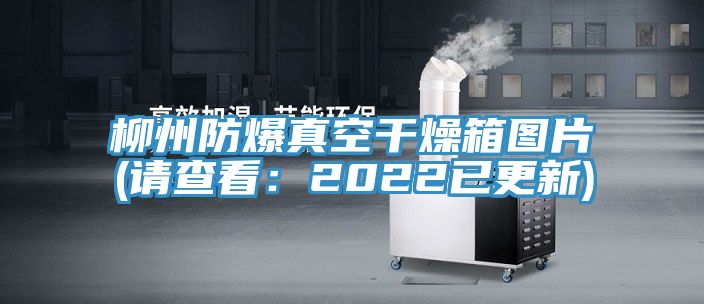 柳州防爆真空幹燥箱圖片(請查看：2022已更新)