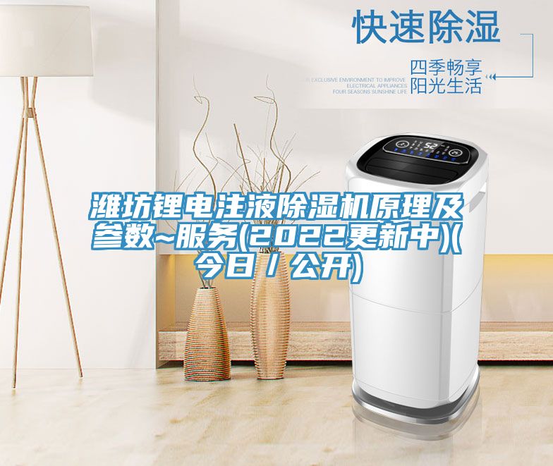 濰坊鋰電注液PICACG哔咔官网入口原理及參數~服務(2022更新中)(今日／公開)