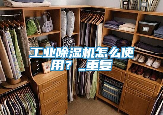 工業PICACG哔咔官网入口怎麽使用？_重複