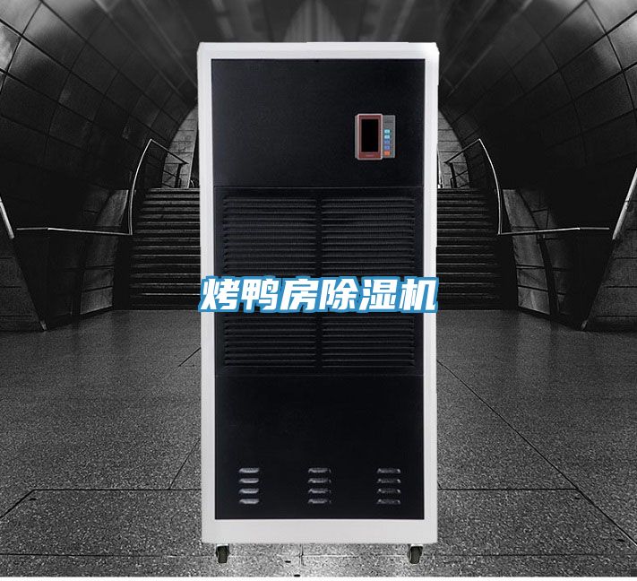 烤鴨房PICACG哔咔官网入口