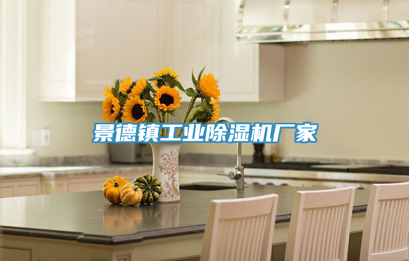 景德鎮工業PICACG哔咔官网入口廠家