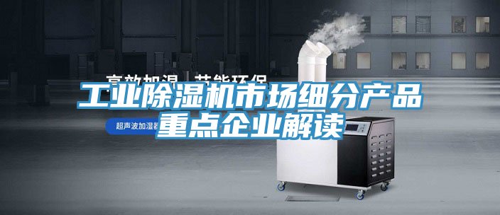 工業PICACG哔咔官网入口市場細分產品重點企業解讀