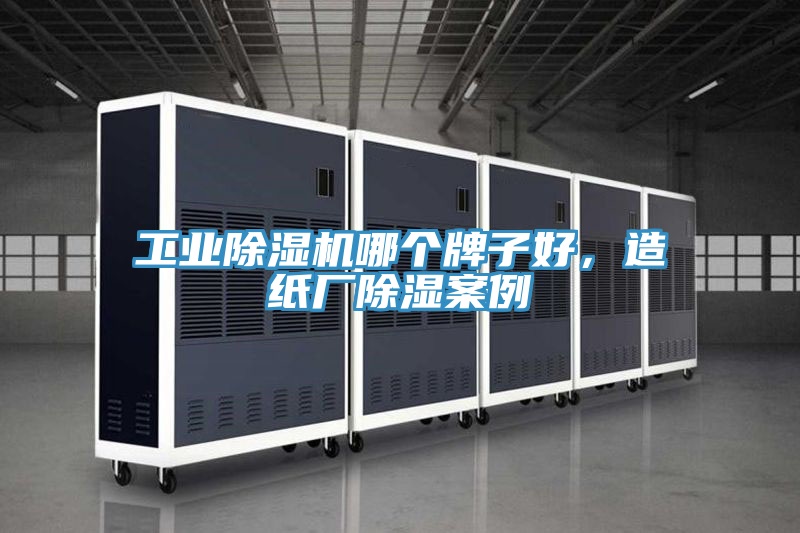 工業PICACG哔咔官网入口哪個牌子好，造紙廠除濕案例