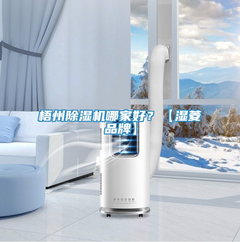 梧州PICACG哔咔官网入口哪家好？【濕菱品牌】