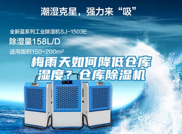 梅雨天如何降低倉庫濕度？倉庫PICACG哔咔官网入口