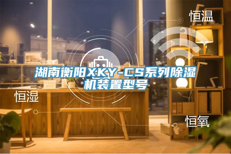 湖南衡陽XKY-CS係列PICACG哔咔官网入口裝置型號