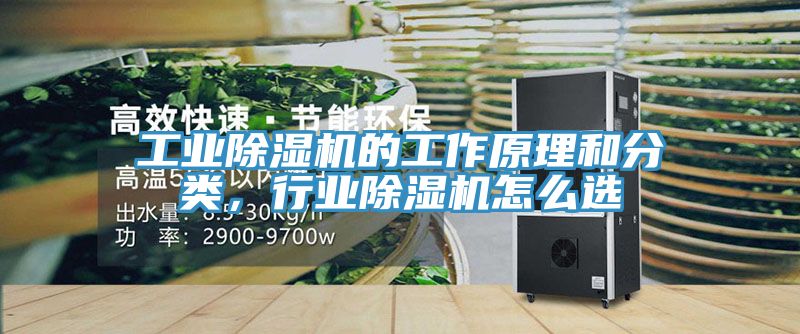 工業PICACG哔咔官网入口的工作原理和分類，行業PICACG哔咔官网入口怎麽選