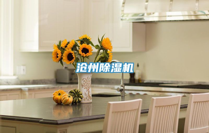 滄州PICACG哔咔官网入口