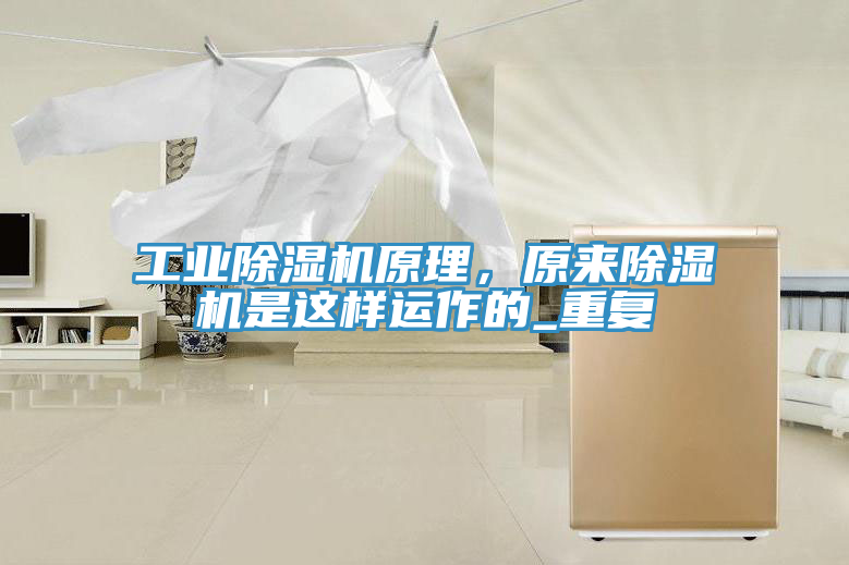 工業PICACG哔咔官网入口原理，原來PICACG哔咔官网入口是這樣運作的_重複