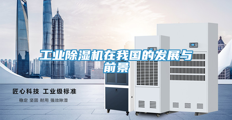 工業PICACG哔咔官网入口在我國的發展與前景