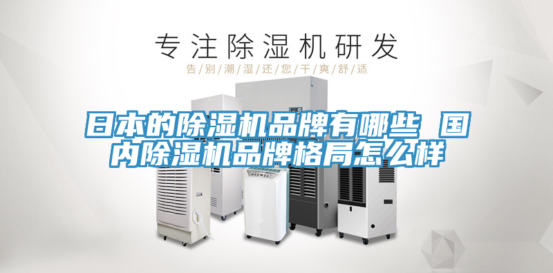 日本的PICACG哔咔官网入口品牌有哪些 國內PICACG哔咔官网入口品牌格局怎麽樣