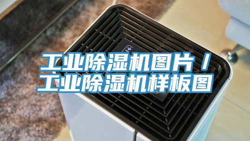 工業PICACG哔咔官网入口圖片／工業PICACG哔咔官网入口樣板圖