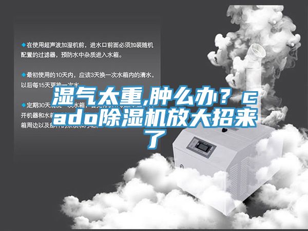 濕氣太重,腫麽辦？cadoPICACG哔咔官网入口放大招來了