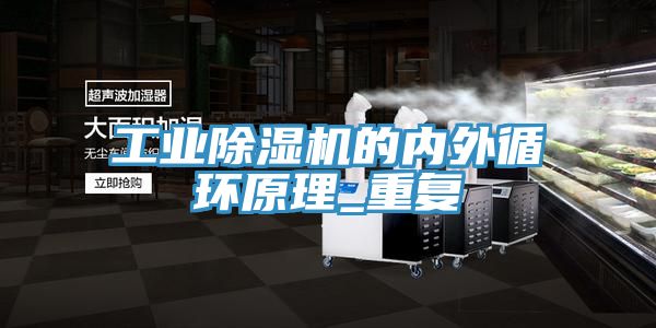 工業PICACG哔咔官网入口的內外循環原理_重複