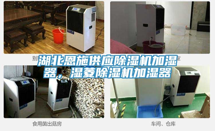 湖北恩施供應PICACG哔咔官网入口加濕器，濕菱PICACG哔咔官网入口加濕器