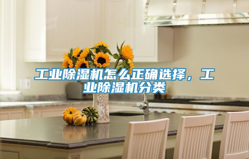 工業PICACG哔咔官网入口怎麽正確選擇，工業PICACG哔咔官网入口分類