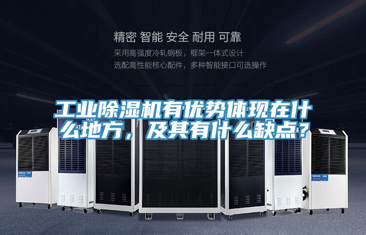 工業PICACG哔咔官网入口有優勢體現在什麽地方，及其有什麽缺點？