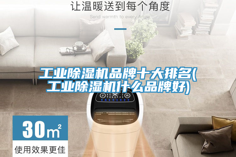 工業PICACG哔咔官网入口品牌十大排名(工業PICACG哔咔官网入口什麽品牌好)