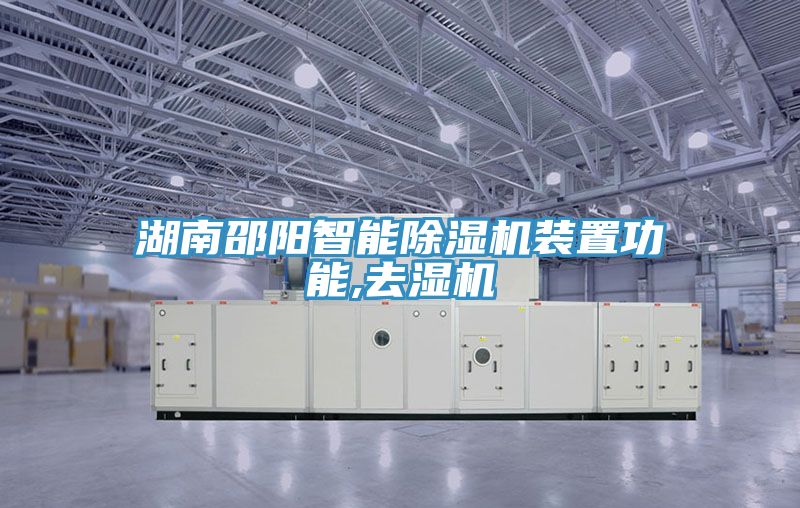 湖南邵陽智能PICACG哔咔官网入口裝置功能,去濕機