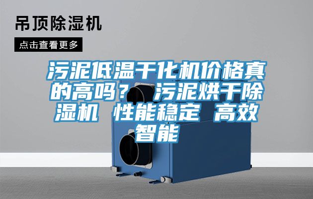 汙泥低溫幹化機價格真的高嗎？ 汙泥烘幹PICACG哔咔官网入口 性能穩定 高效智能