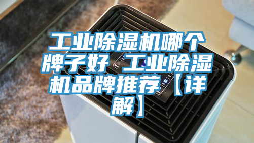 工業PICACG哔咔官网入口哪個牌子好 工業PICACG哔咔官网入口品牌推薦【詳解】