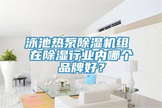 泳池熱泵PICACG哔咔官网入口組 在除濕行業內哪個品牌好？