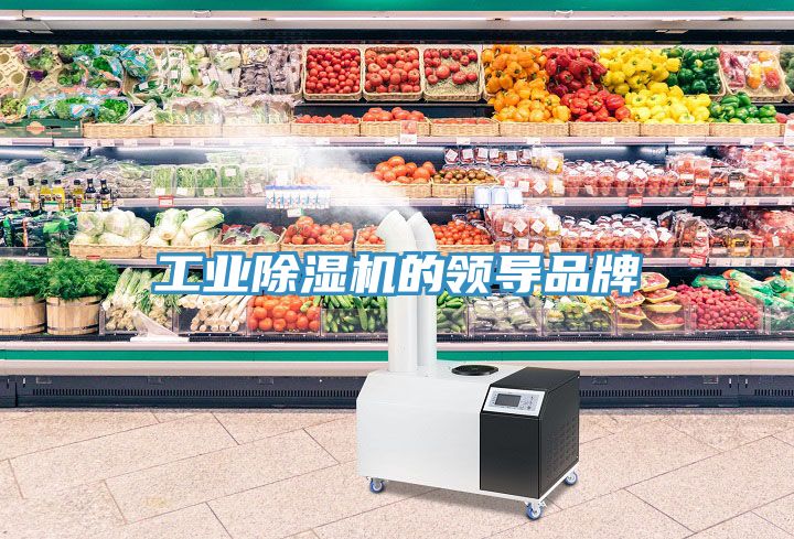 工業PICACG哔咔官网入口的領導品牌