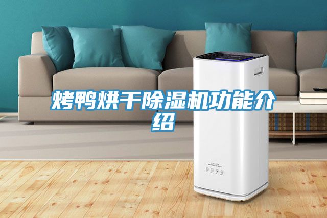 烤鴨烘幹PICACG哔咔官网入口功能介紹