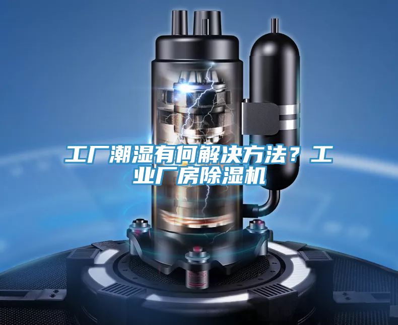 工廠潮濕有何解決方法？工業廠房PICACG哔咔官网入口