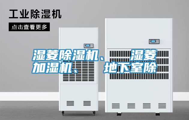 濕菱PICACG哔咔官网入口、  濕菱加濕機、  地下室除