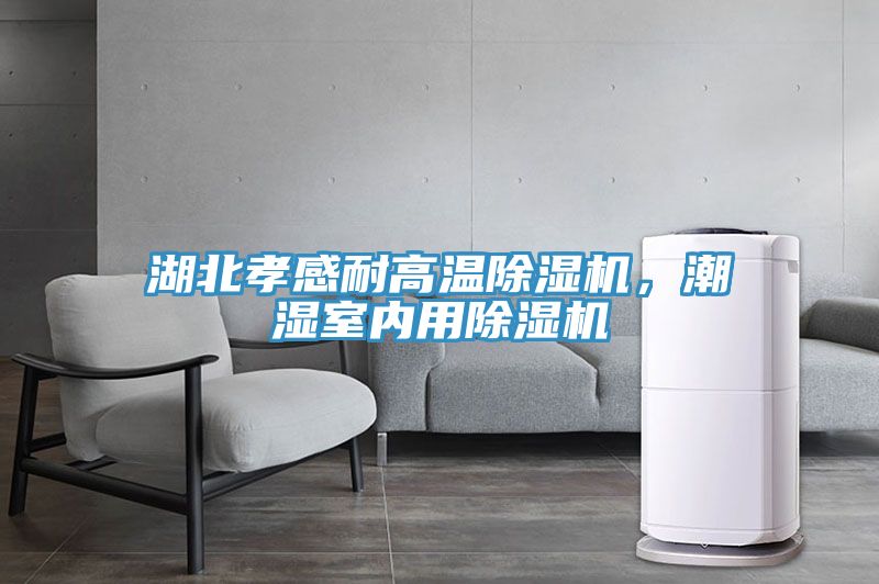 湖北孝感耐高溫PICACG哔咔官网入口，潮濕室內用PICACG哔咔官网入口