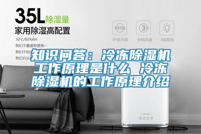 知識問答：冷凍PICACG哔咔官网入口工作原理是什麽 冷凍PICACG哔咔官网入口的工作原理介紹