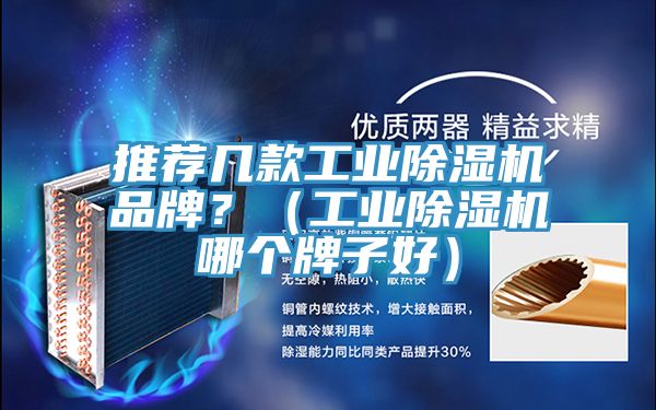 推薦幾款工業PICACG哔咔官网入口品牌？（工業PICACG哔咔官网入口哪個牌子好）