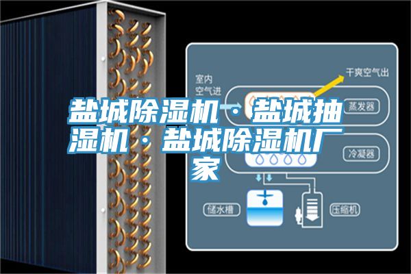 鹽城PICACG哔咔官网入口·鹽城抽濕機·鹽城PICACG哔咔官网入口廠家