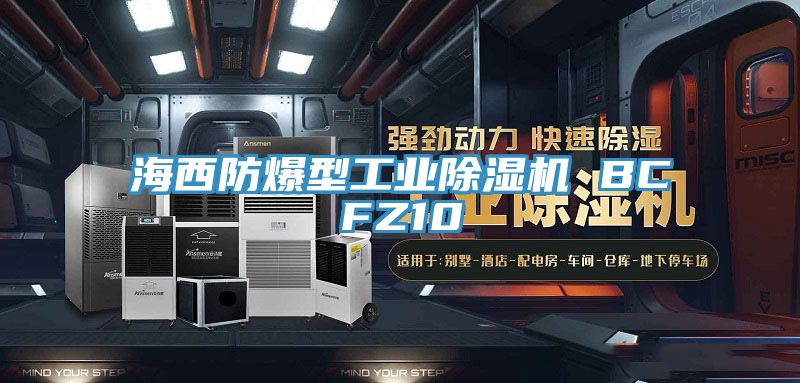 海西防爆型工業PICACG哔咔官网入口 BCFZ10