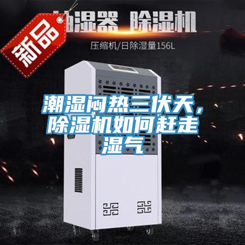 潮濕悶熱三伏天，PICACG哔咔官网入口如何趕走濕氣