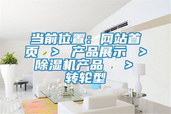 當前位置：網站首頁 ＞ 產品展示 ＞ PICACG哔咔官网入口產品  ＞ 轉輪型