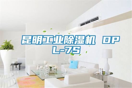 昆明工業PICACG哔咔官网入口 DPL-7S