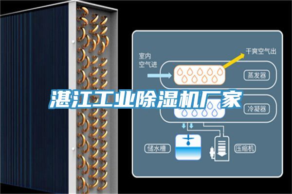 湛江工業PICACG哔咔官网入口廠家